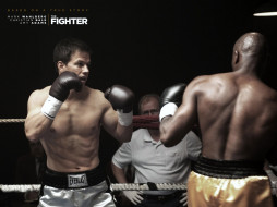 The Fighter/     1280x960 the, fighter, , , 
