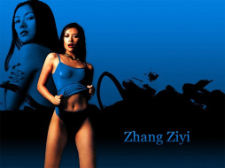 Zhang Ziyi, 