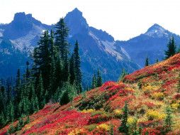 Autumn Colors the Tatoosh Range, Mount Rainier National Park, Washington     1600x1200 