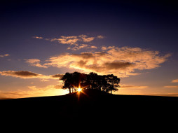 Copse of Trees at Sunrise, Scotland     1600x1200 