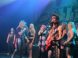 steel, panther, , , , , 