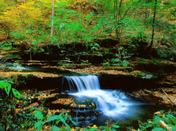 Ricketts Glen State Park, Pennsylvania     1600x1200 