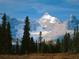Mount Athabasca, Jasper National Park, Alberta     1600x1200 
