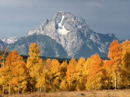 Mount Moran in Autumn, Wyoming     1600x1200 