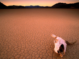 Bone Dry, Death Valley, California     1600x1200 