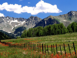 Wildflowers and Farm Fence, Outside Aspen, Colorado     1600x1200 