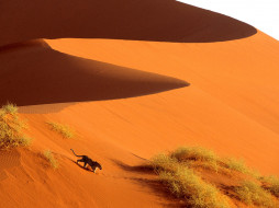 Crossing the Sand Dunes of Sossusvlei Park, Namibia, Africa     1600x1200 