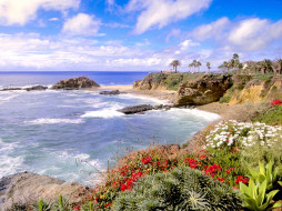 Laguna Flowers, Laguna Beach, California     1600x1200 