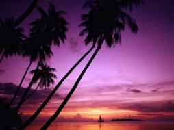 Sailing in Paradise, Tahiti, French Polynesia     1600x1200 