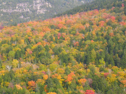 Acadia National Park Mountain View     1600x1200 