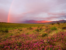 Sunrise, Anzo Borrego State Park, California     1600x1200 