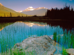 Mount Athabasca, Jasper National Park, Canada     1600x1200 