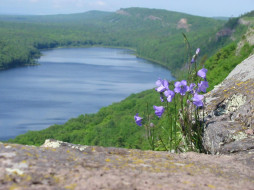 Lake of the Clouds w Harebells in Rock     1600x1200 