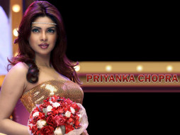 Priyanka Chopra     1024x768 Priyanka Chopra, 