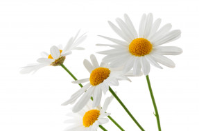     293554 (a):MariJane :4288x2848
