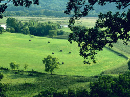 Fertile Farmland, near Natchez Trace Parkway, Tennessee     1600x1200 