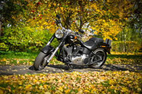 Harley-Davidson     4256x2832 harley, davidson, , 