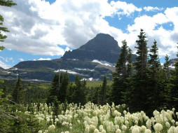 Glacier National Park Reynolds Mtn     1600x1200 