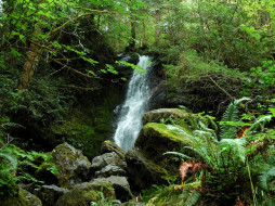 Falls Creek Falls     1600x1200 