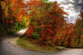 Autumn     2560x1696 autumn, , , , , 
