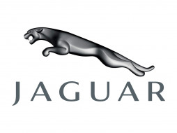 Jaguar     1600x1200 jaguar, , , 