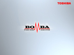TOSHIBA     1024x768 toshiba, 