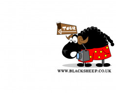 , black, sheep