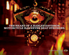 Harley-Davidson     1280x1024 harley, davidson, , , , unknown