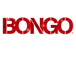      1024x768 , bongo