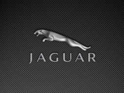 , , , jaguar