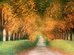 Autumn Road, Cognac Region, France     1024x768 