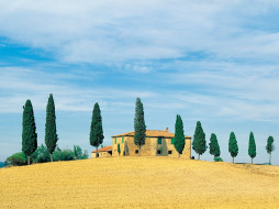 Golden Hillside, Tuscany, Italy     1600x1200 