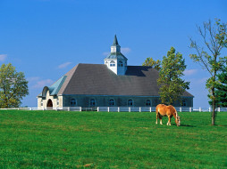 Donamire Horse Farm, Lexington, Kentucky     1600x1200 donamire, horse, farm, lexington, kentucky, 
