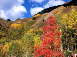 Autumn Colors on Maroon Lake Trail     1024x768 
