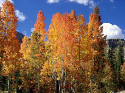 Brilliant fall colors in Colorado     1024x768 