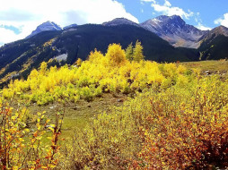 Anvil Mountain and Aspens     1024x768 