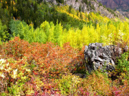 Falls Loop Trail, Maroon Bells     1600x1200 