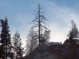 Sequoia National Park     1024x768 