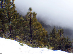 Sequoia National Park     1024x768 