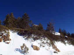 Sequoia National Park     1024x768 