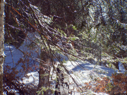 Sequoia National Park     1024x768 