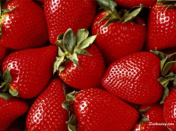 Strawberry     1024x768 strawberry, , , 