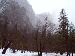 Yosemite park. USA     1200x900 