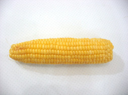     338842 (a): :1600x1200