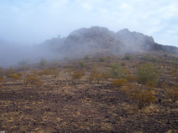 Fog in Sonorah. Arizona. USA     1024x768 