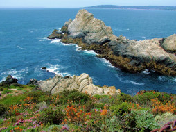 Point Lobos CA     1600x1200 