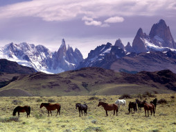 andes, mountains, patagonia, argentina, , 