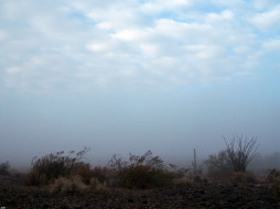Fog in Sonorah. Arizona. USA обои для рабочего стола 1600x1200 