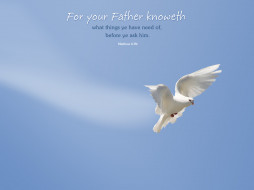     361944 (a):frederika :1600x1200