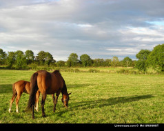     362008 (a):frederika :1280x1024